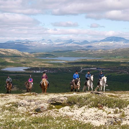 Spidsbergseter Resort Rondane رينغيبو المظهر الخارجي الصورة