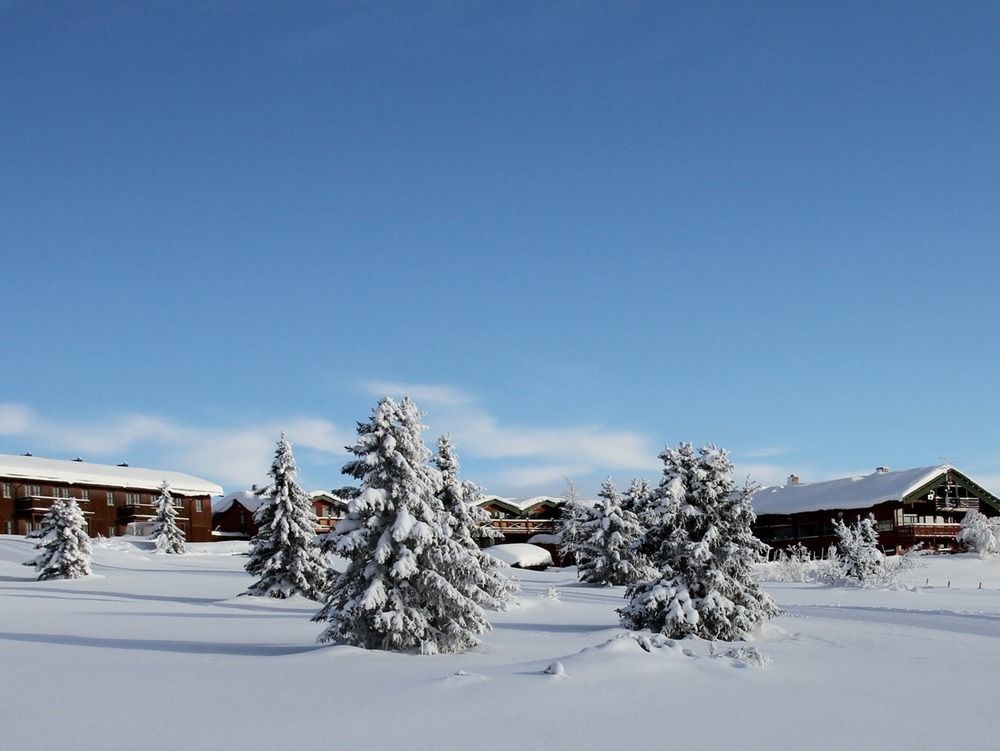 Spidsbergseter Resort Rondane رينغيبو المظهر الخارجي الصورة