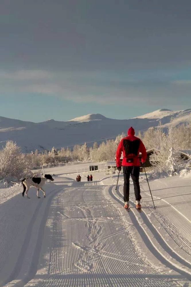Spidsbergseter Resort Rondane رينغيبو المظهر الخارجي الصورة